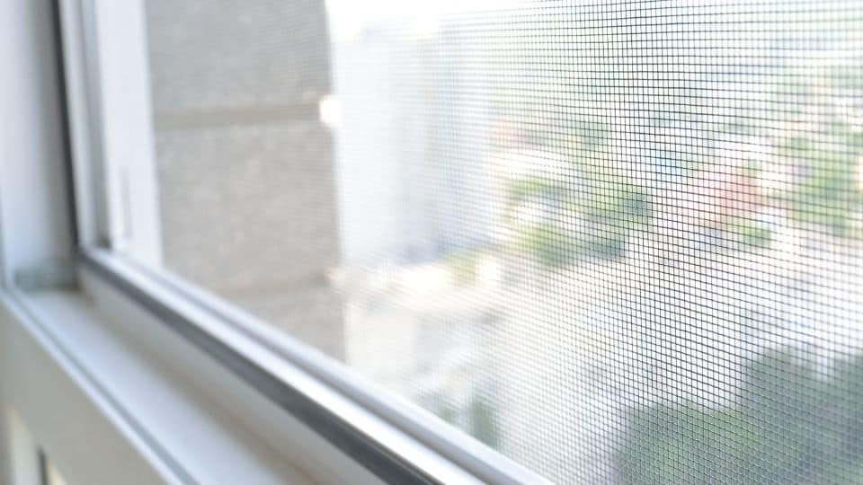 כיצד אפשר למנוע כניסת יונים למרפסת שירות?